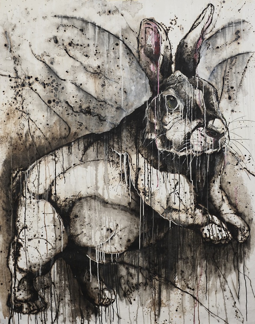 Fabien Harel — Rabbit