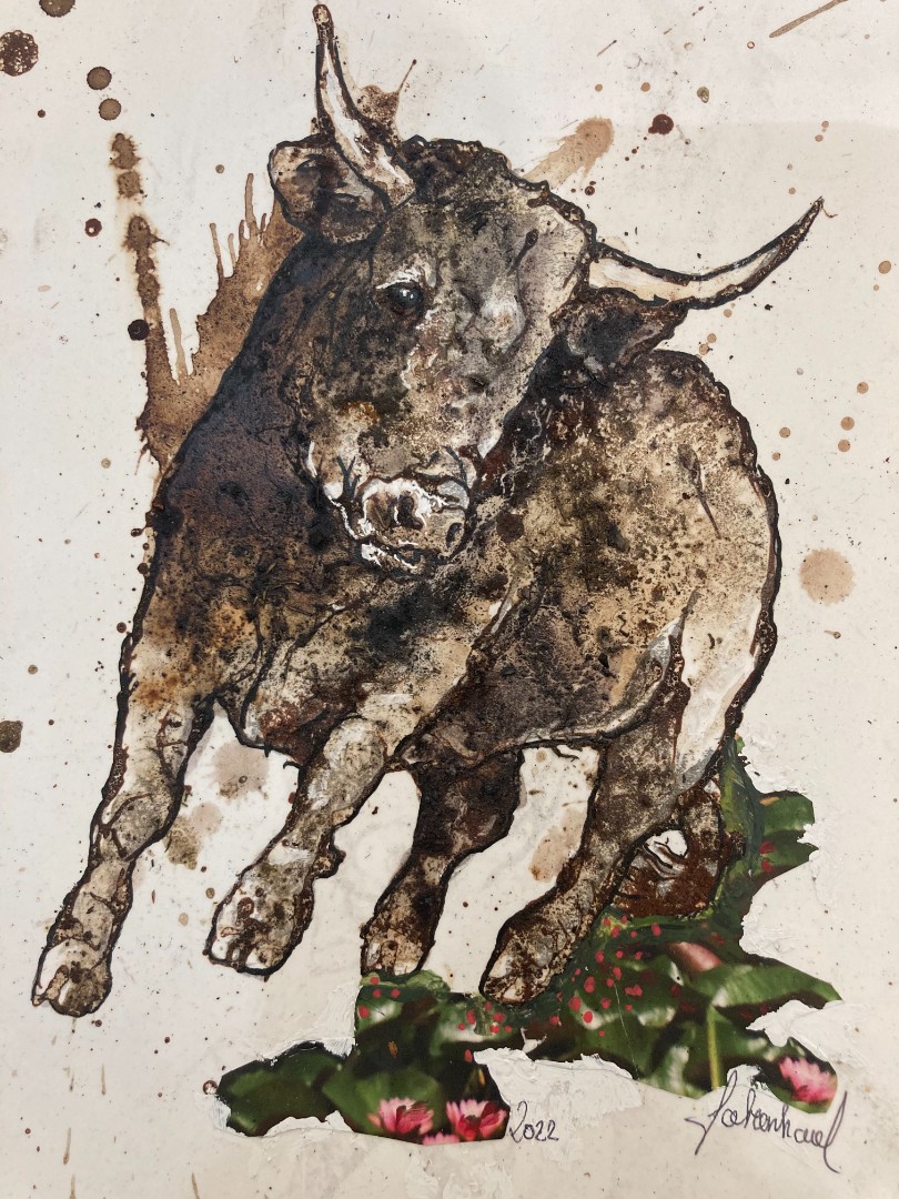 Fabien Harel — Bull 1