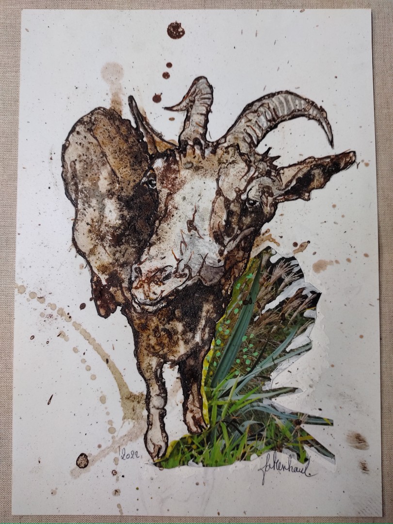 Fabien Harel — Goat