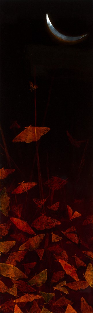 Ming-Chun Lai — Moon