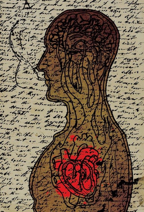 William Bradley — Heart Cooks Brain